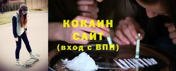 сатива Мегион