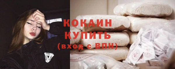 гашик Медногорск