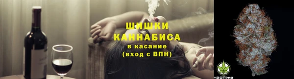 сатива Мегион