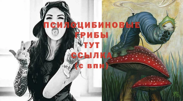 экстази Бердск