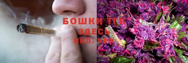 стафф Верхний Тагил