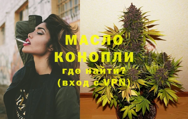 гашик Медногорск
