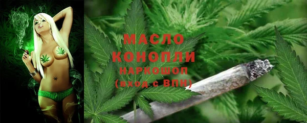 сатива Мегион