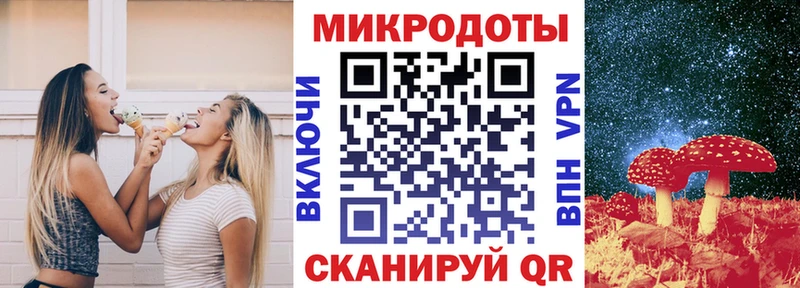 Псилоцибиновые грибы Psilocybine cubensis Гусиноозёрск
