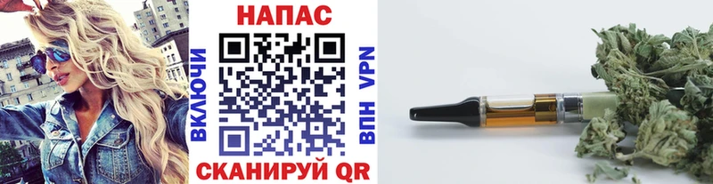 Бошки Шишки индика  Гусиноозёрск 